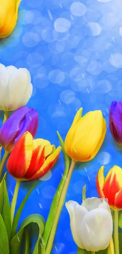 Vibrant tulips with a blue sky backdrop.