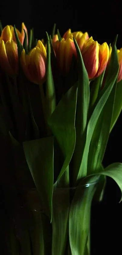 Elegant bouquet of tulips with dark background on mobile wallpaper.