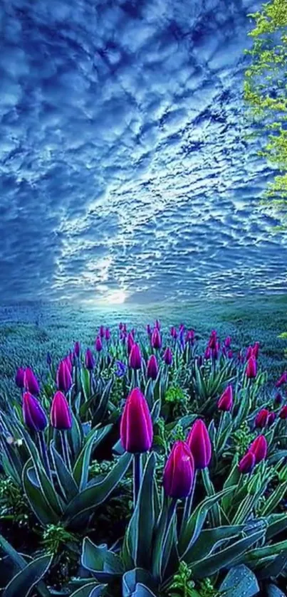 Vibrant tulip field under a dramatic blue sky.