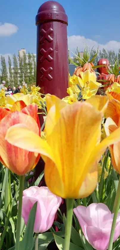 Yellow tulips blooming under a clear blue sky.