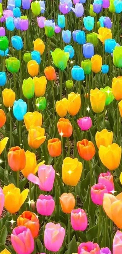 A vibrant field of colorful tulips under a sunny sky.