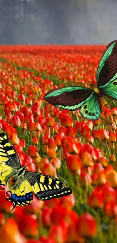 A vibrant tulip field with colorful butterflies.