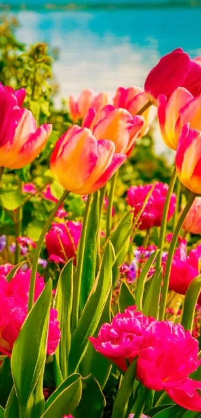 Vibrant tulips with a serene lake backdrop, perfect for spring enthusiasts.