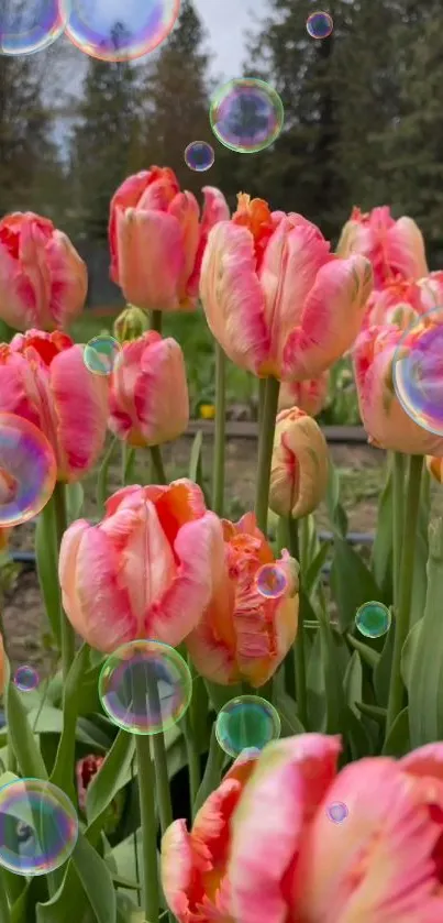 Pink tulips with bubbles in a vibrant garden landscape.