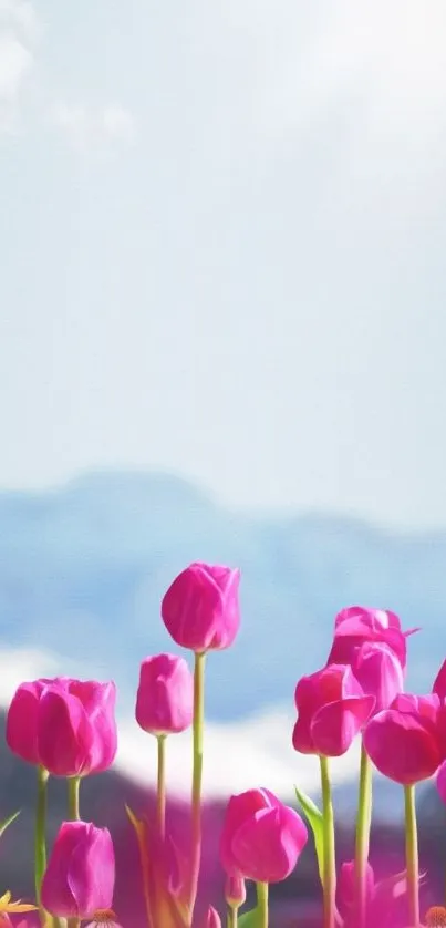 Vibrant pink tulips beneath a clear blue sky with mountains in the background.