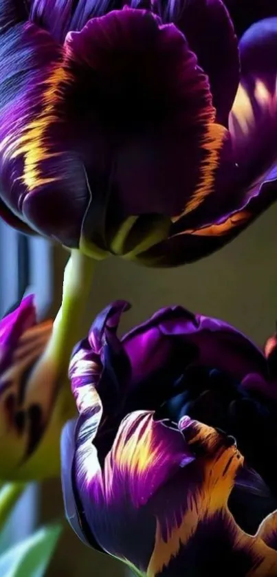 Stunning tulip wallpaper with purple petals and orange accents for mobile devices.