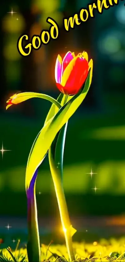 Vibrant tulip wallpaper with 'Good Morning' text and green background.