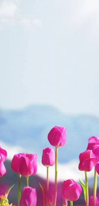 Vibrant pink tulips against sky and mountain backdrop.