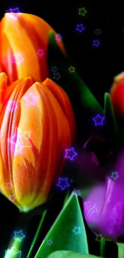 Colorful tulips with starry night effect.