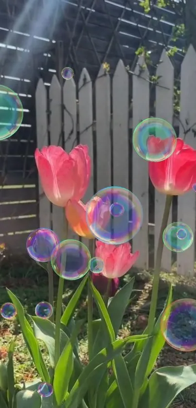 Vibrant pink tulips and colorful bubbles in a sunny garden backdrop.