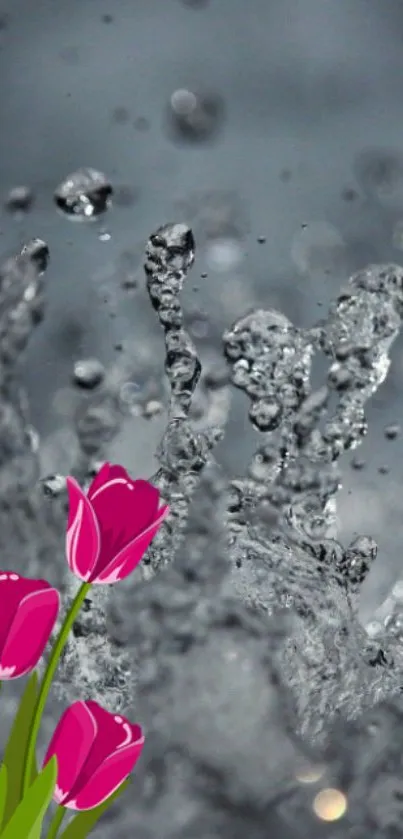 Gray water splash with vibrant pink tulips