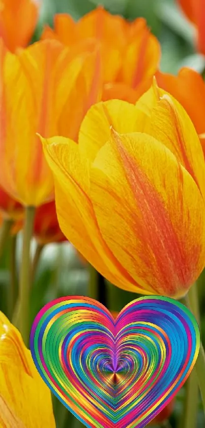 Orange and yellow tulips with a colorful heart design overlay.