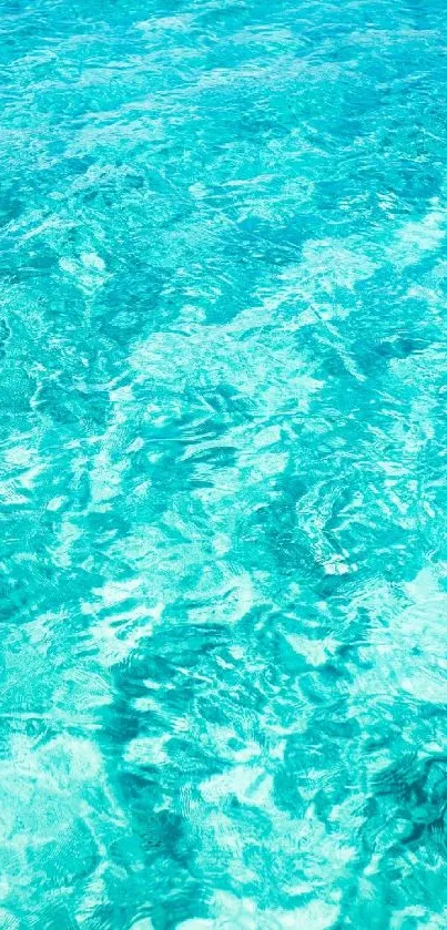 Vibrant turquoise ocean water creates a serene mobile wallpaper backdrop.