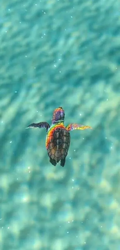 Multicolored turtle swimming in aqua ocean.