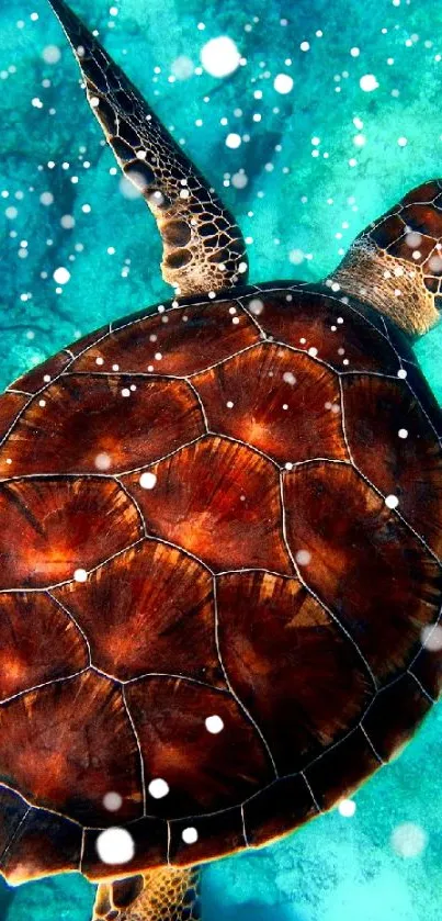 Sea turtle swimming in turquoise waters.