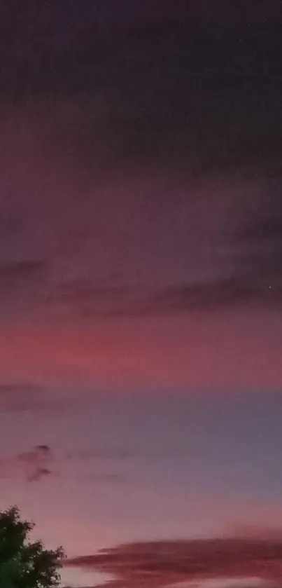 Twilight sky with purple and pink hues over a silhouetted tree.