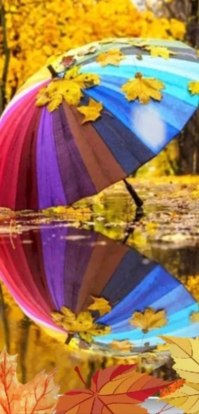 Colorful umbrella on autumn leaves reflected in a puddle.