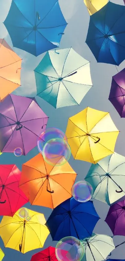 Colorful umbrellas against a blue sky background.