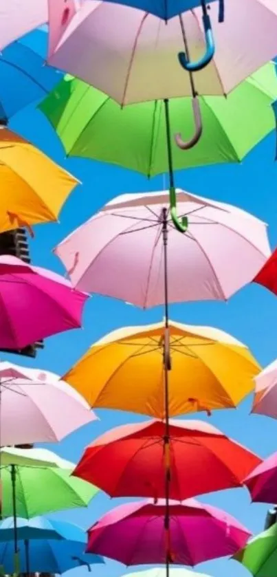 Floating vibrant umbrellas against bright blue sky.