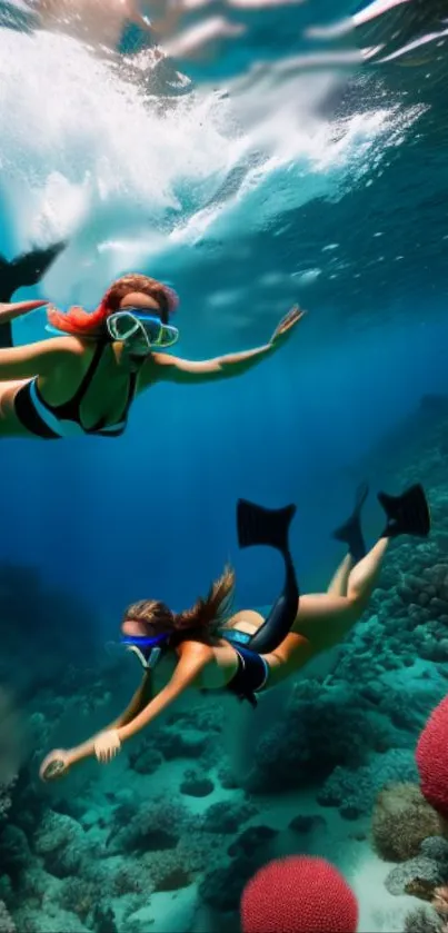 Snorkelers explore a vibrant coral reef underwater.