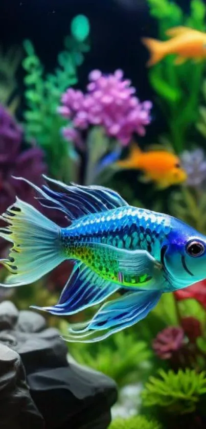 Vibrant aquarium scene with colorful fish and corals.