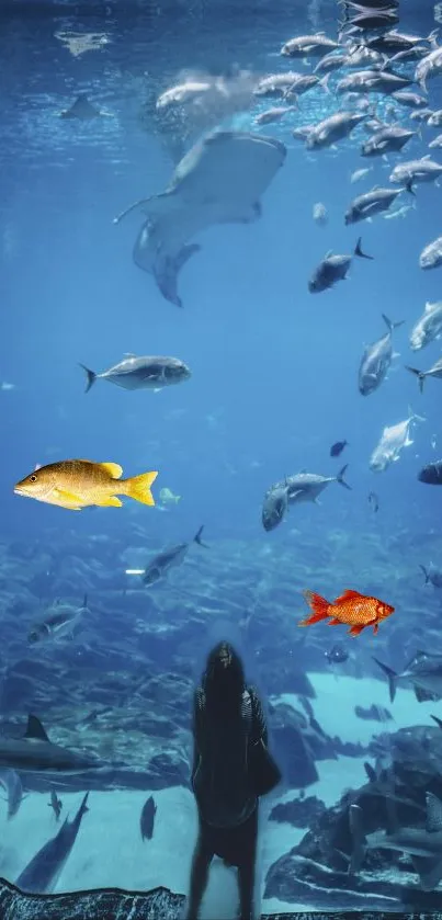 Underwater aquarium scene with diverse fish swimming.