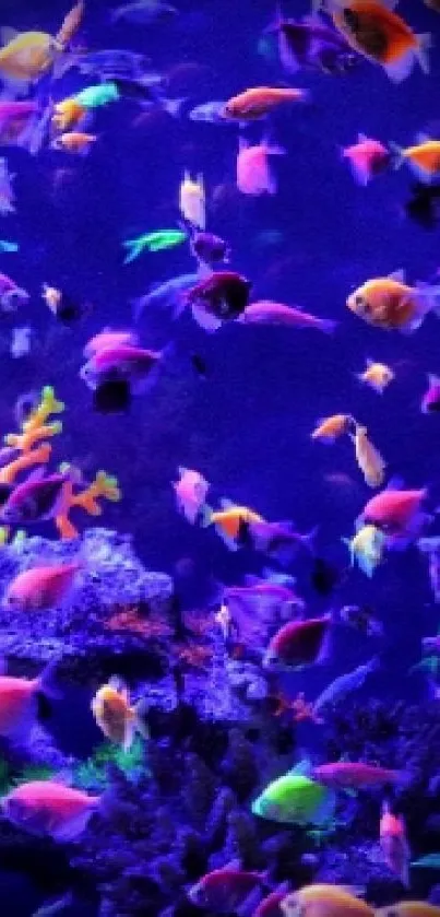 Vibrant aquarium wallpaper with neon fish and coral under a deep blue ocean.