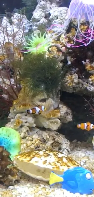 Vibrant aquarium with clownfish and coral.