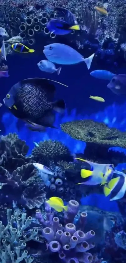 Colorful fishes swimming in a vibrant underwater aquarium with coral reefs.