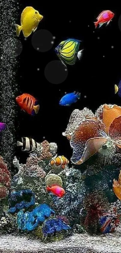 Colorful tropical fish and coral reef wallpaper with a black background.
