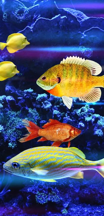 Vibrant underwater wallpaper with colorful tropical fish and coral reef.