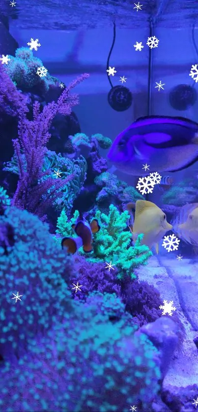 Vibrant aquarium wallpaper with colorful fish and coral.