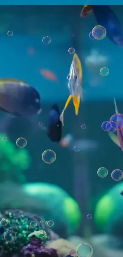 Colorful fish and bubbles in an underwater scene wallpaper.