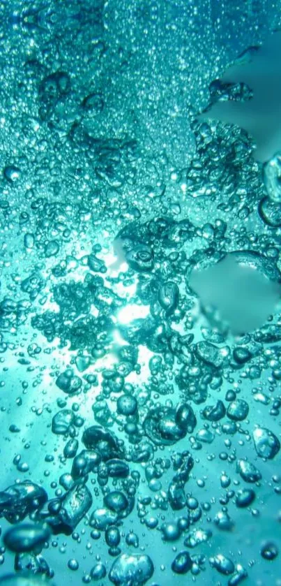 Bubbles rising in a vibrant underwater cyan blue scene.