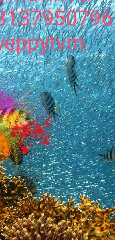 A vibrant underwater coral reef with colorful fish swimming by.