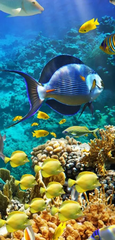 Colorful coral reef with diverse tropical fish.