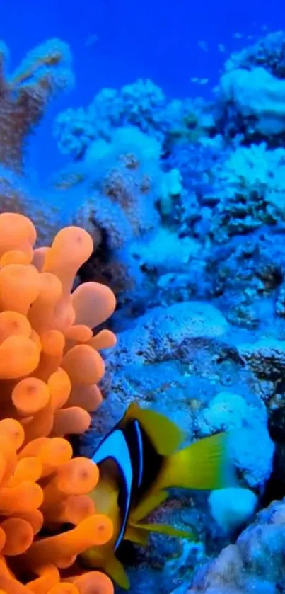 Vibrant underwater coral reef scene with marine life.