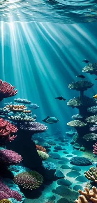 Vibrant coral reef with sunlight filtering through ocean water.