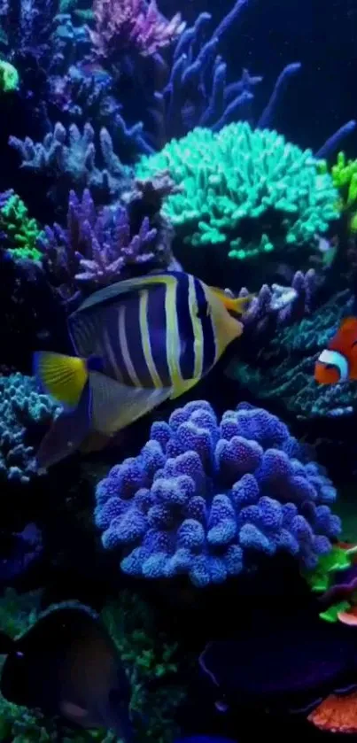 Vibrant underwater scene with coral and fish.