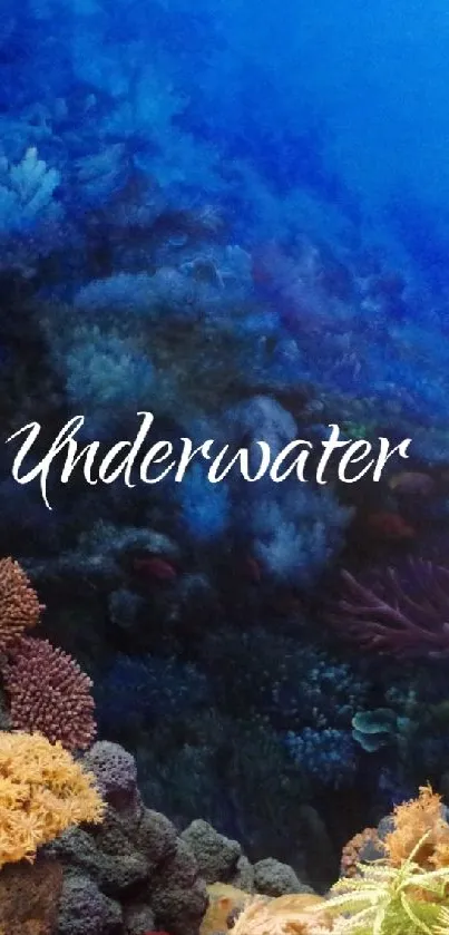Vibrant underwater coral scene with marine life.