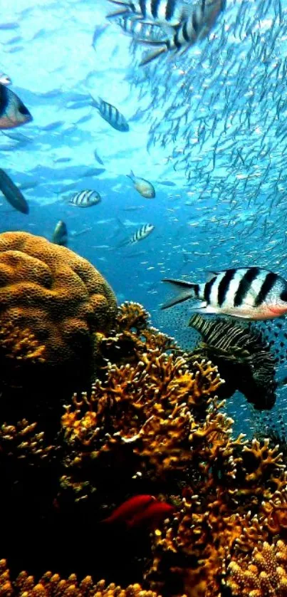 Vibrant underwater coral reef with colorful fish.