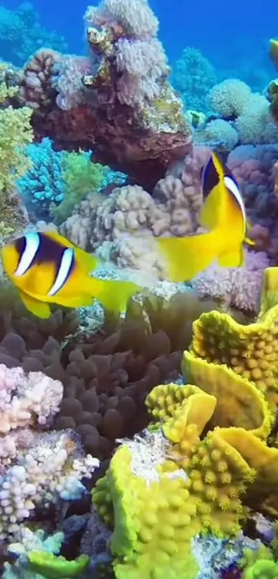 Underwater coral scene with clownfish and vibrant marine life.