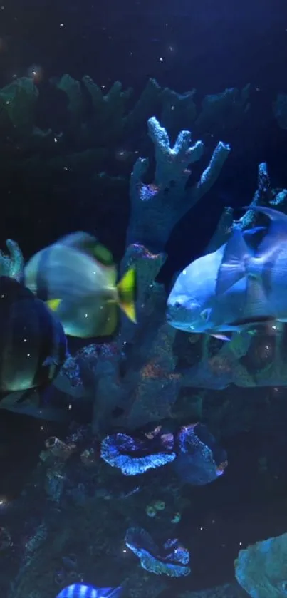 Colorful fish swim in a vibrant coral reef.