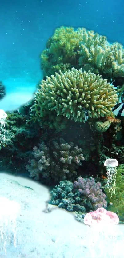 Underwater scene with colorful corals and jellyfish against a teal backdrop.