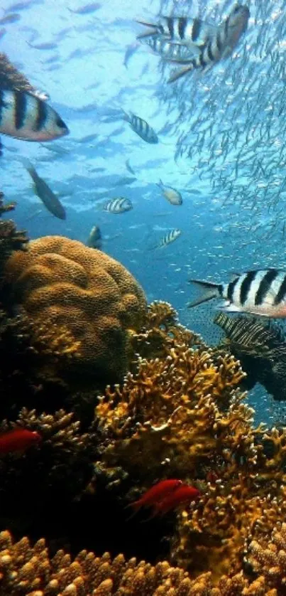 Vibrant underwater coral reef with swimming fish