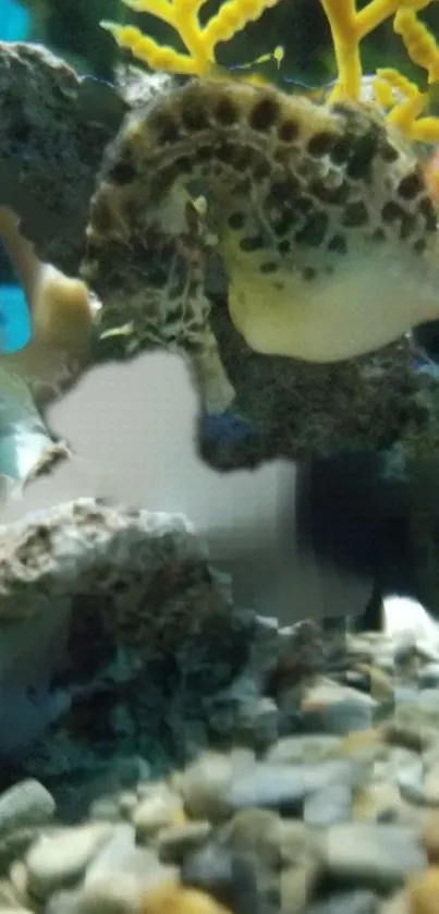 Colorful underwater coral scene with marine life on display.