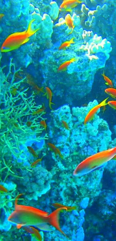 Vibrant coral reef with colorful fish underwater.