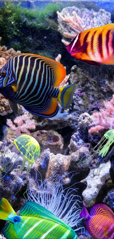 Colorful fish swim among coral in a vibrant reef