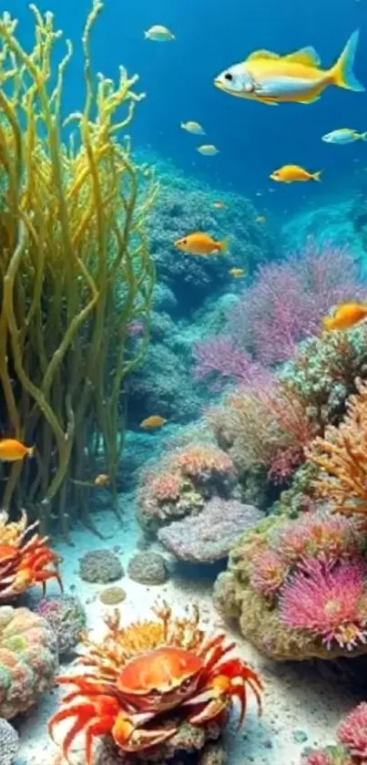 Colorful underwater coral reef with fish and marine life.