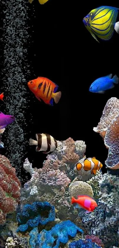 Colorful underwater coral scene with fish.